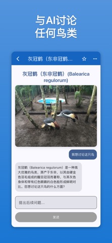 AI鸟类识别: Bird Ace screenshot