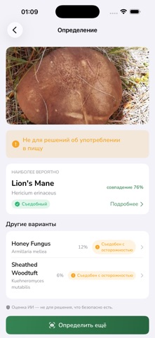 Shroomly: Mushroom Identifier iPhone screenshot