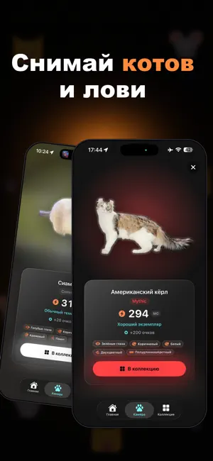 nekonet screenshot 1