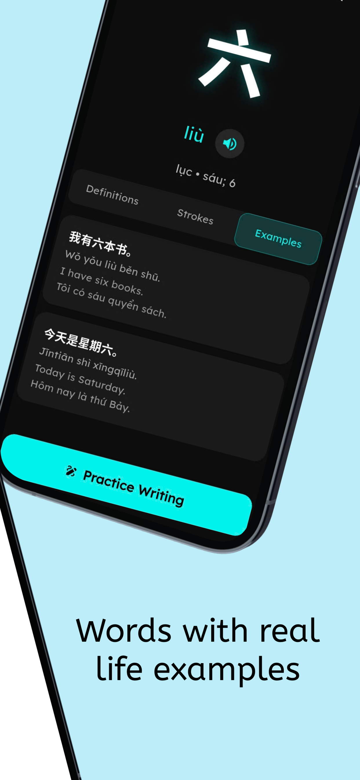 Hanyu Master - Learn Chinese screenshot 6