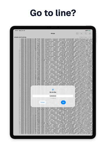 Whaile: Large File Log Viewer ipad screenshot 3