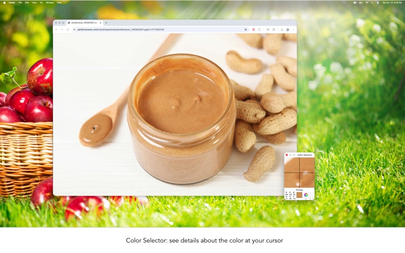 Screenshot #2 pour Color Blind Pal