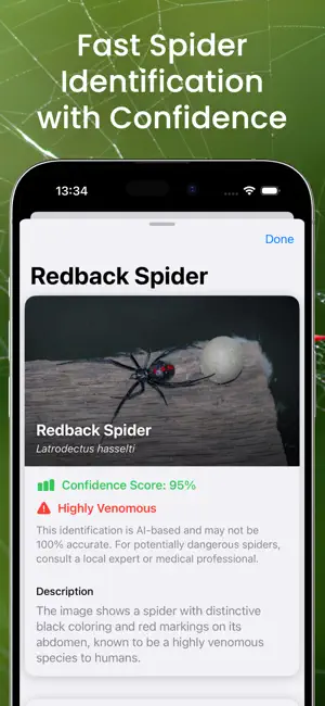 Spider Identifier - by picture screenshot 3