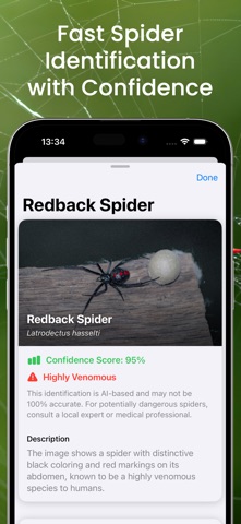 Spider Identifier - by picture Screenshot 3 of 6