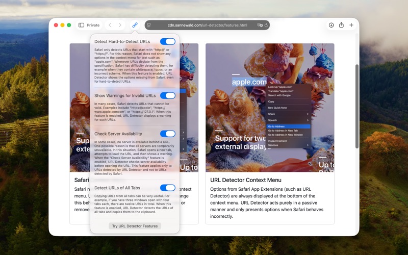 Screenshot #3 pour URL Detector for Safari
