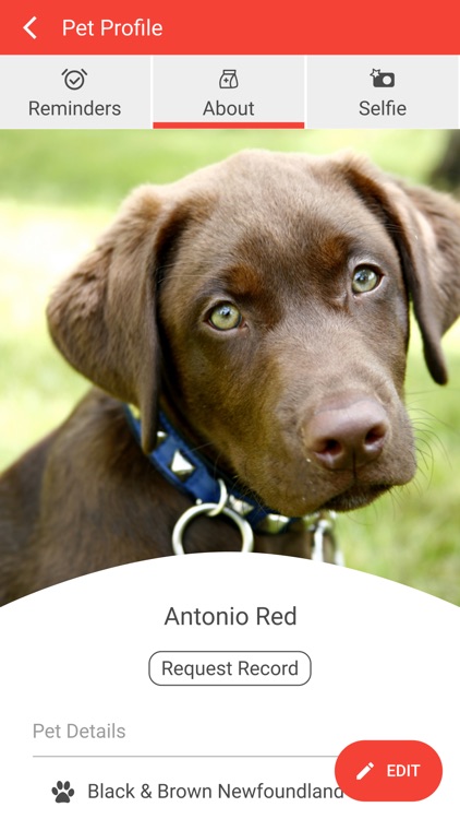 Cooper County Animal Hospital