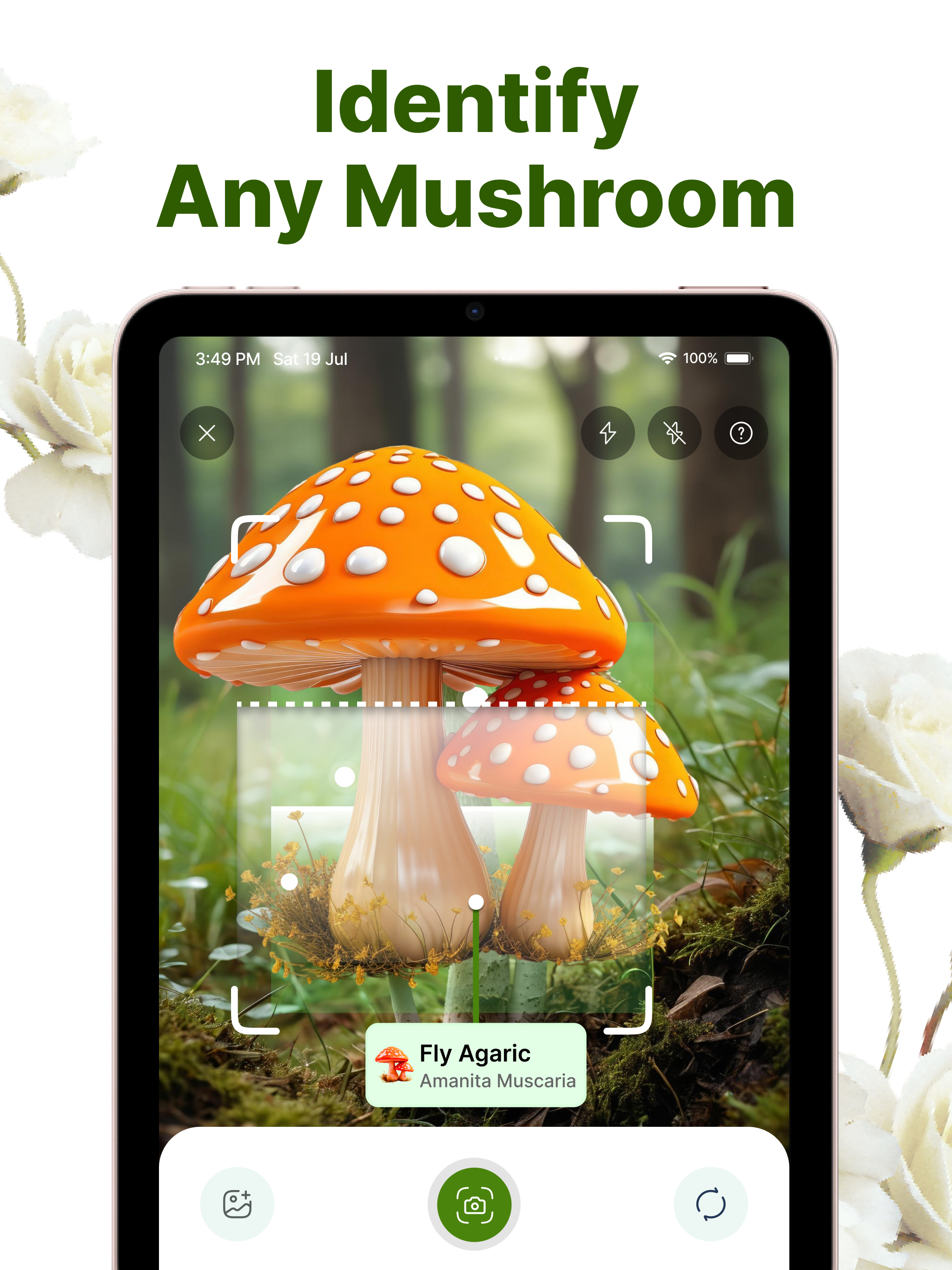 Mushroom Scanner AI: Shroom ID screenshot 6