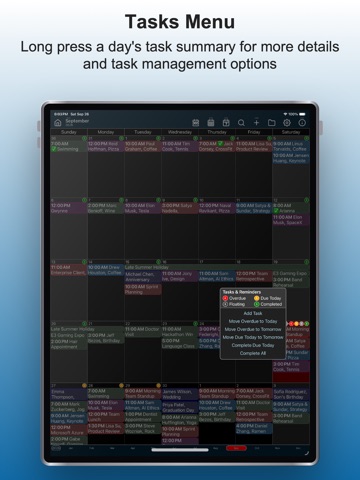 Calendar Pro+ iPad screenshot