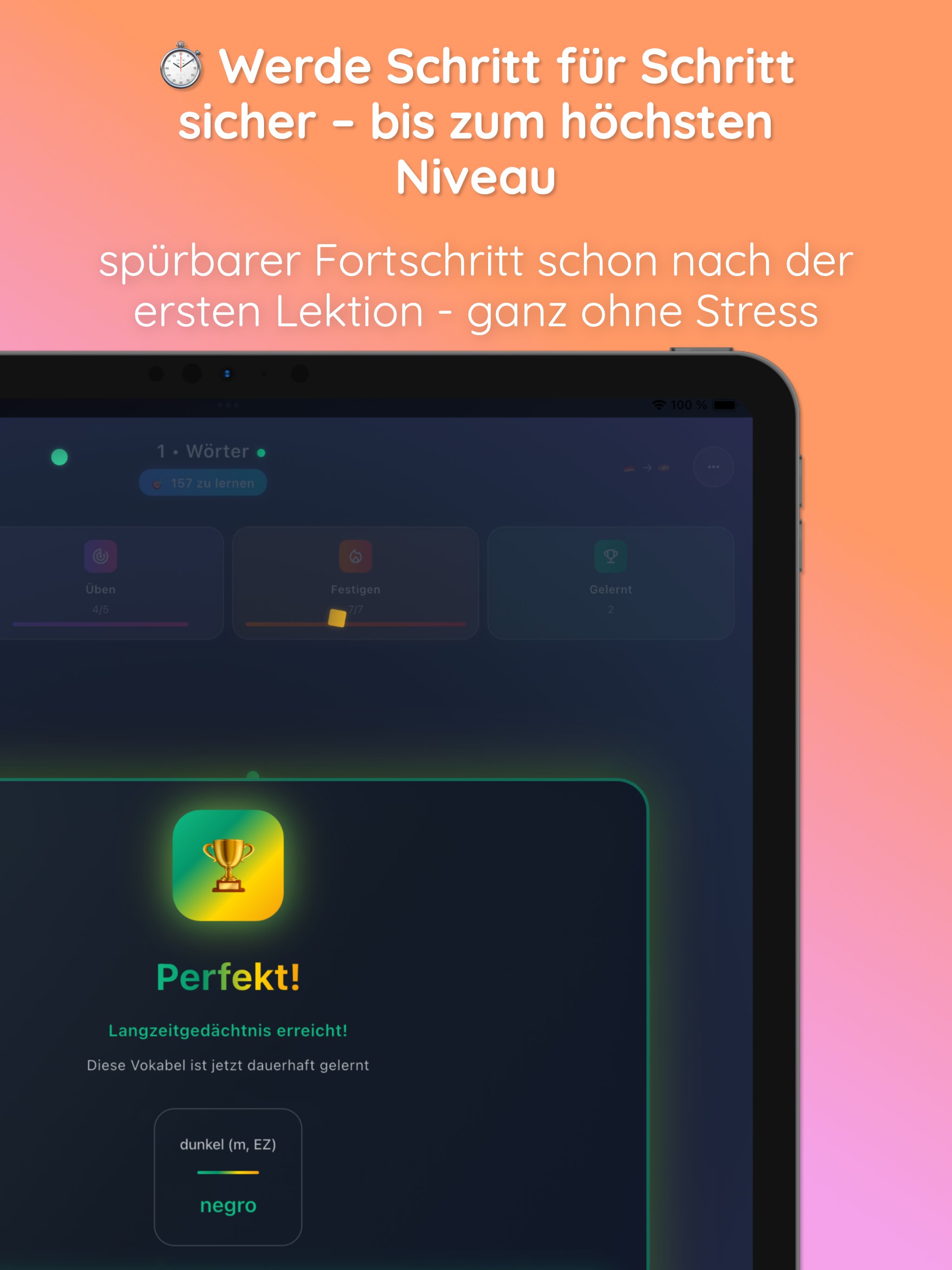 Dikiwi Spanisch