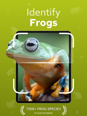 Frog Identifier – Frogium iPad screenshot