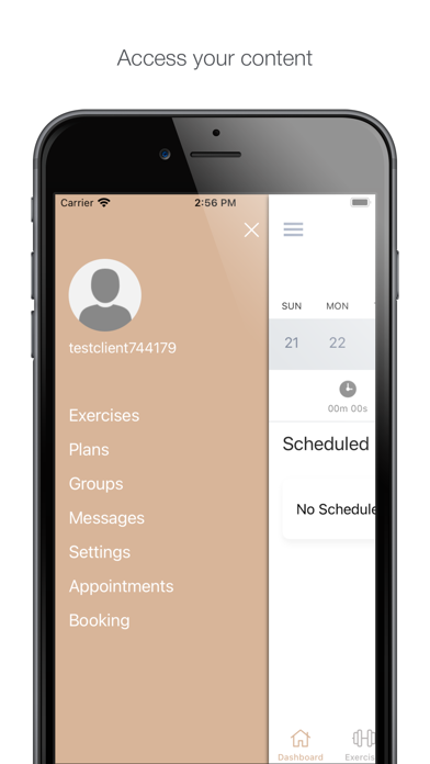 Alchemy Athletics Screenshot
