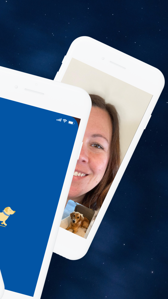 PetFit Pet Health  Wellness