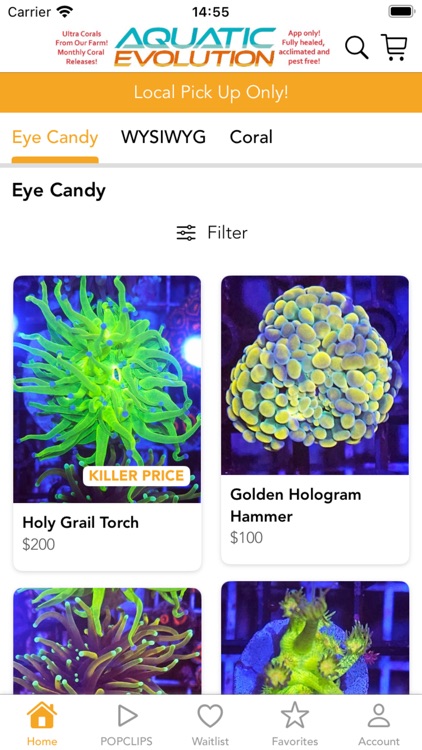 Aquatic Evolution LLC