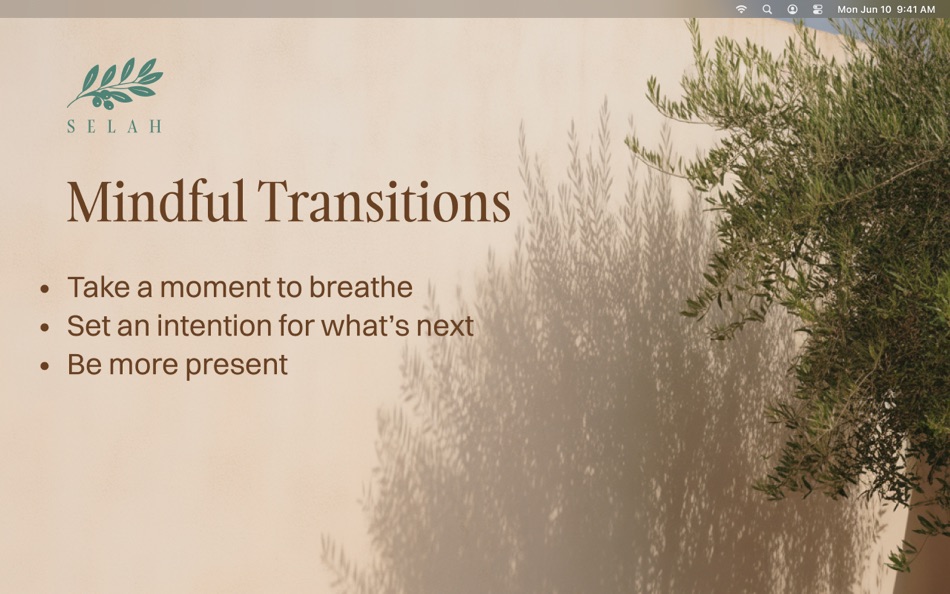 #1. Selah - Mindful Transitions (macOS) 由: TOBIAS TREPPMANN