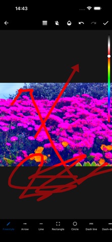 Gamma: Photo Editor Screenshot 8 of 8
