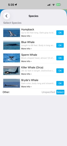 Whale Alert screenshot