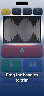SingFun: Reverse Audio Singing screenshot 6