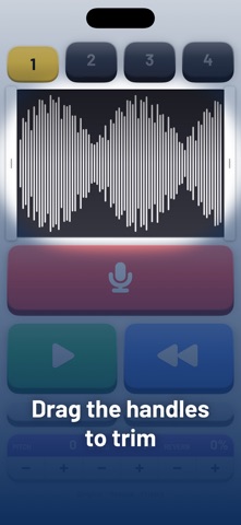 SingFun: Reverse Audio Singing screenshot 6