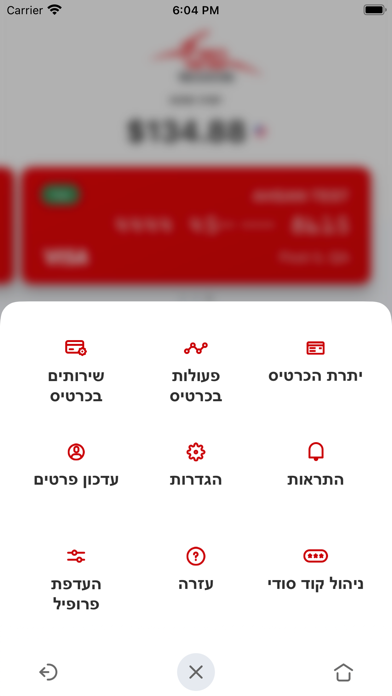 ויזה נטען - דואר פיננסים Screenshot
