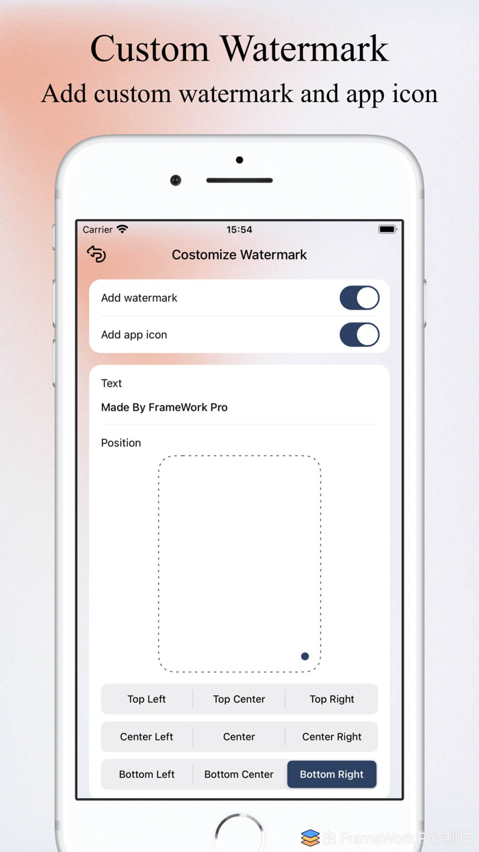 FrameWork Pro - Screenshot