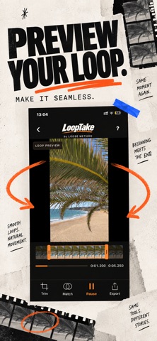 LoopTake screenshot 4