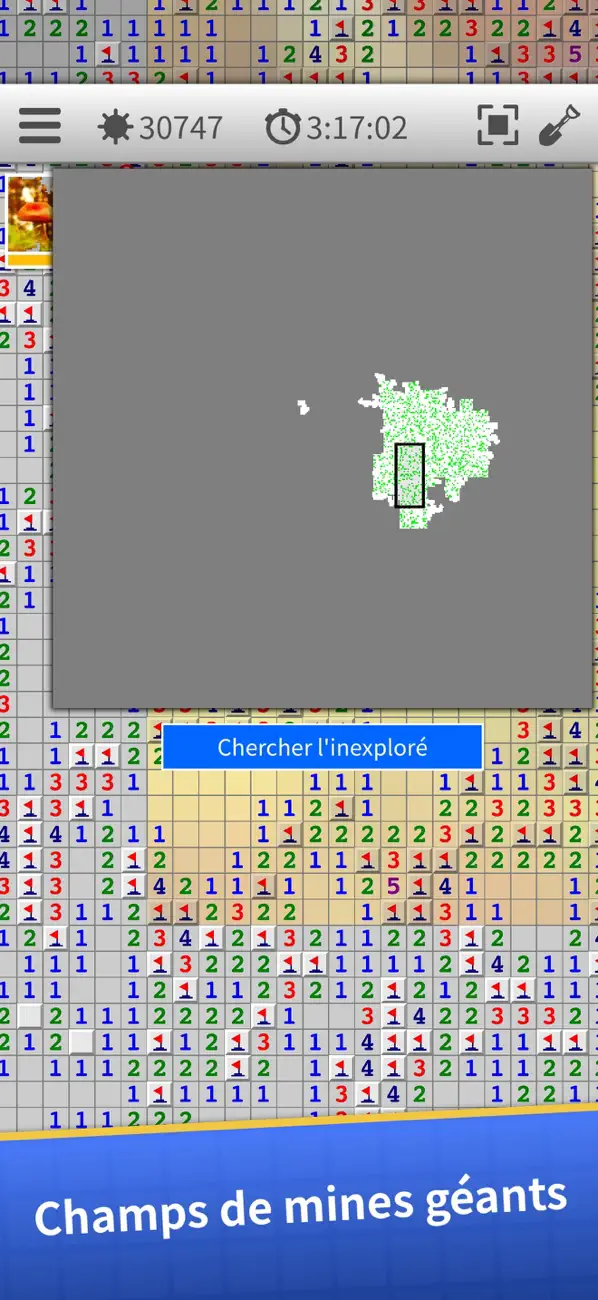 Screenshot #2 pour Démineur XL : classique