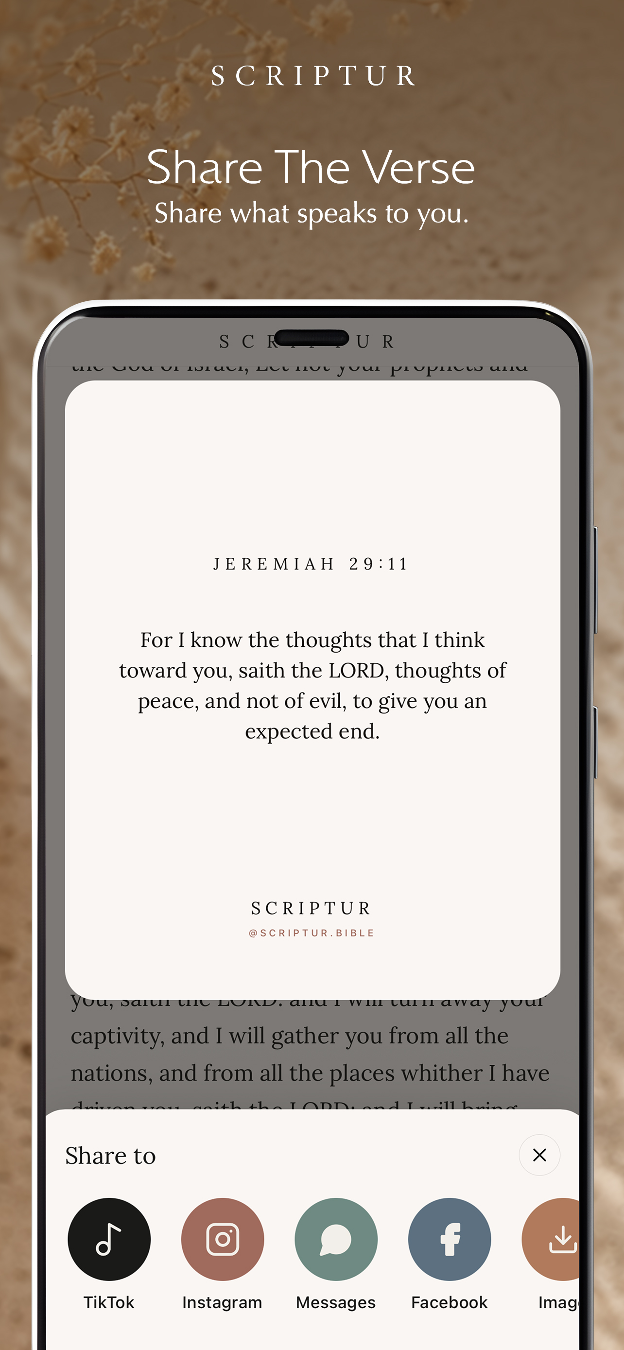 Scriptur Bible