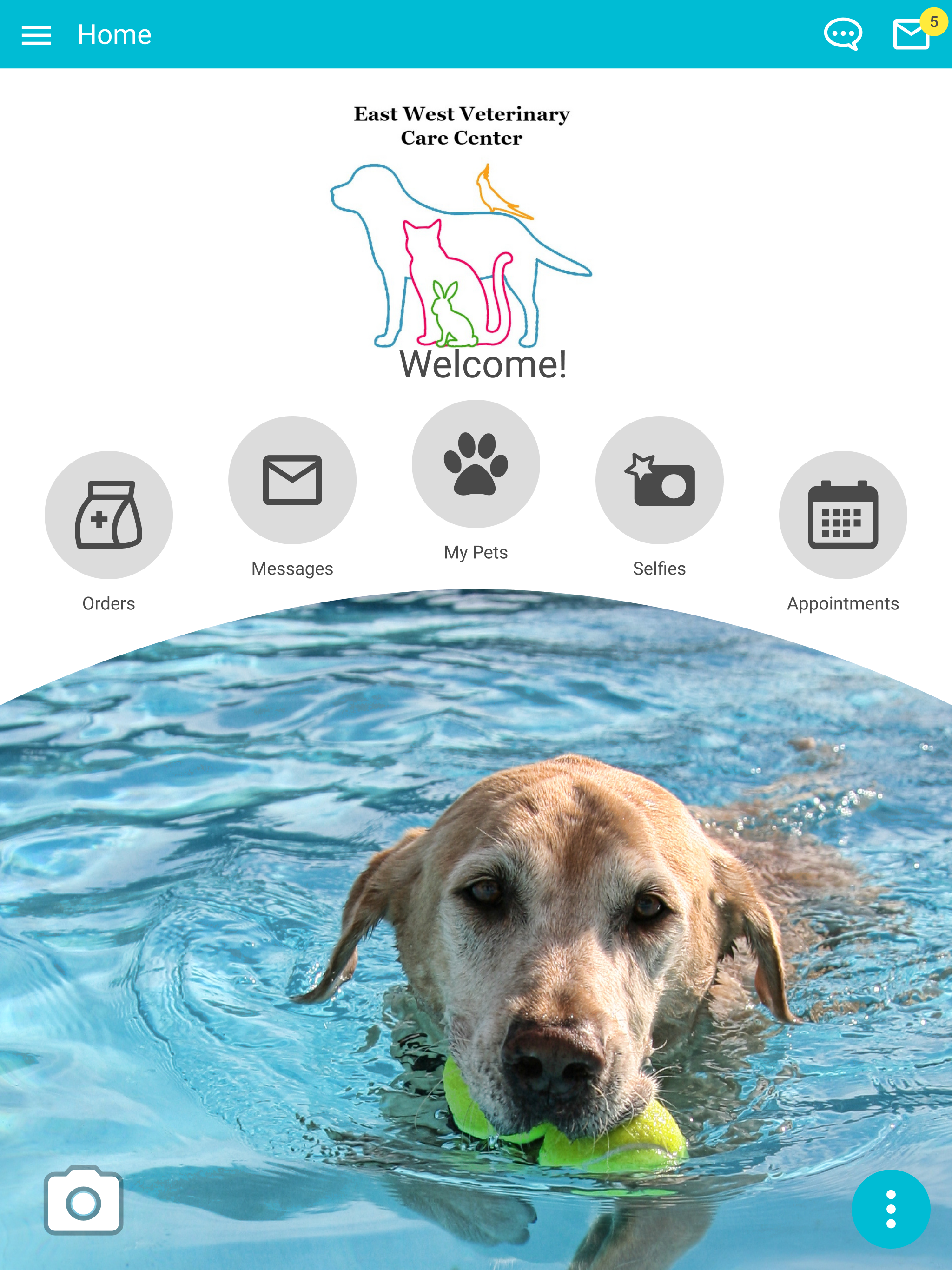 East West Vet Care screenshot 6