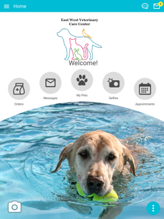 East West Vet Care screenshot 6