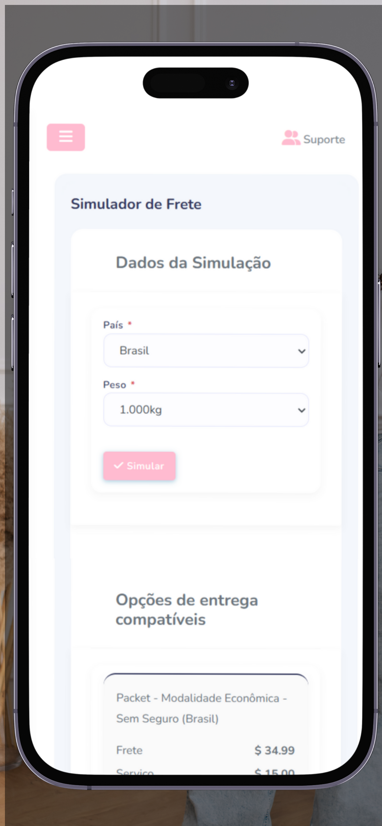 Fe envia screenshot 7