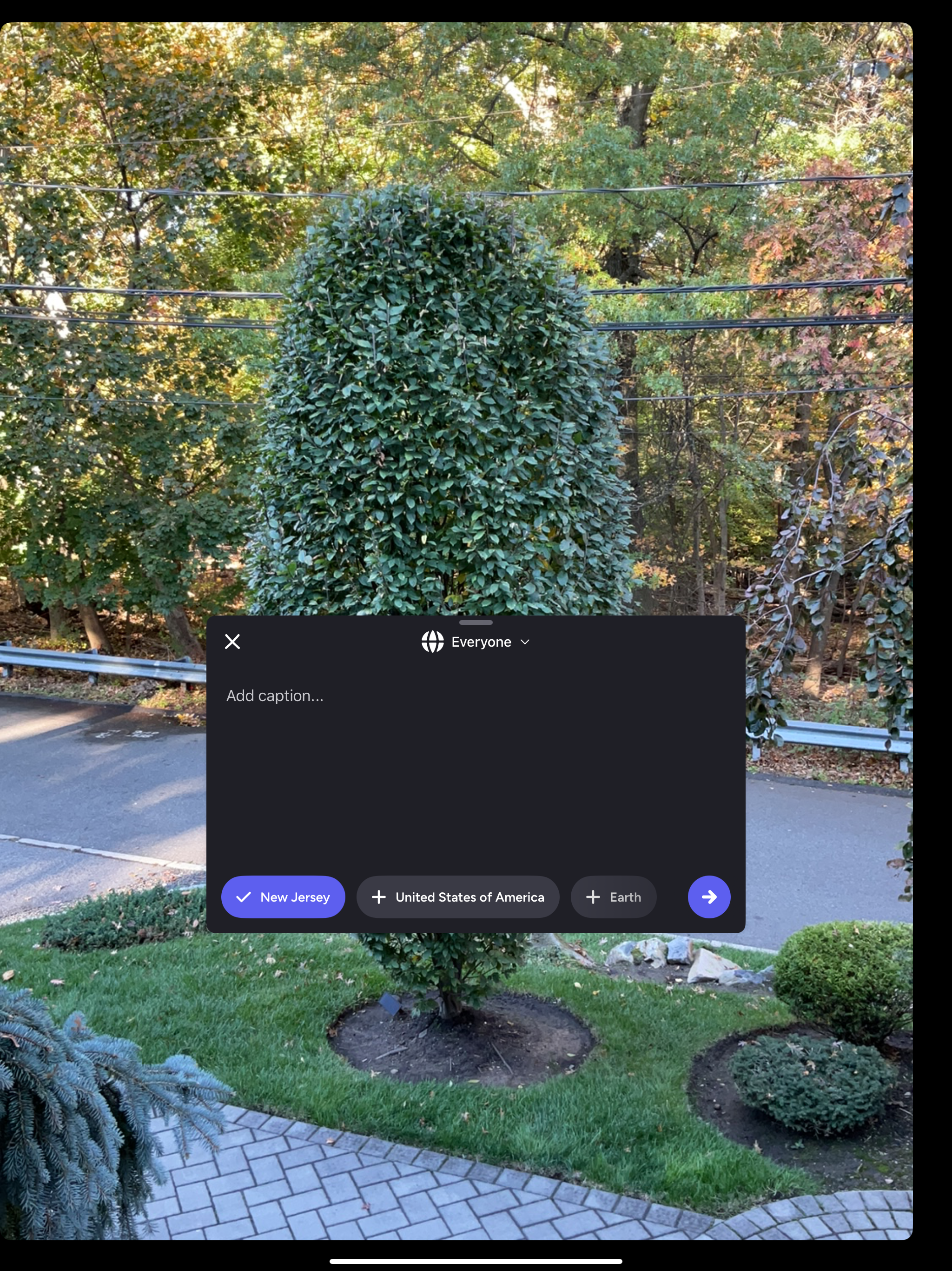 theliveapp