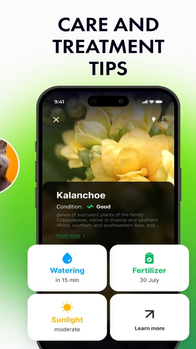 Plant Identifier: by Picture Screenshot