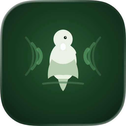 Bird Song NZ