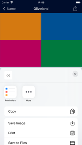 FlagDict+: World Flags screenshot