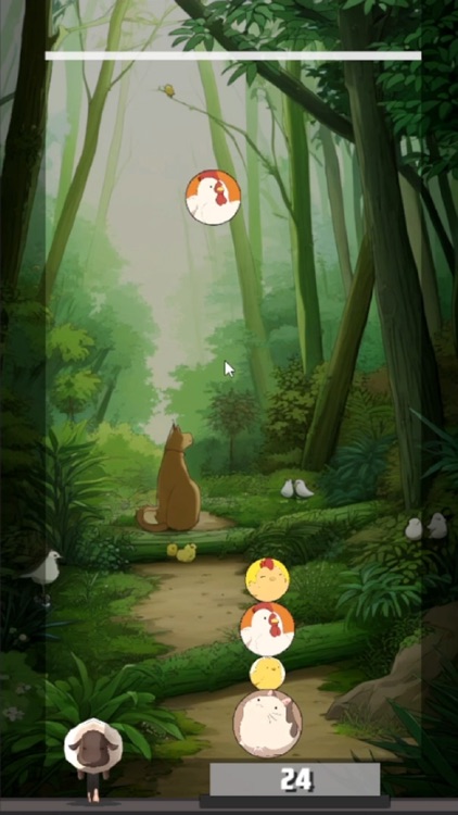 Animals Forest