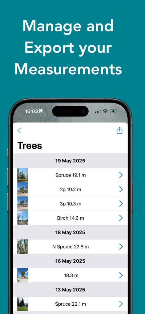 Arboreal Tree - Business App | MWM