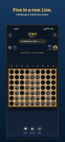 Odin's Drop 4+ screenshot 2