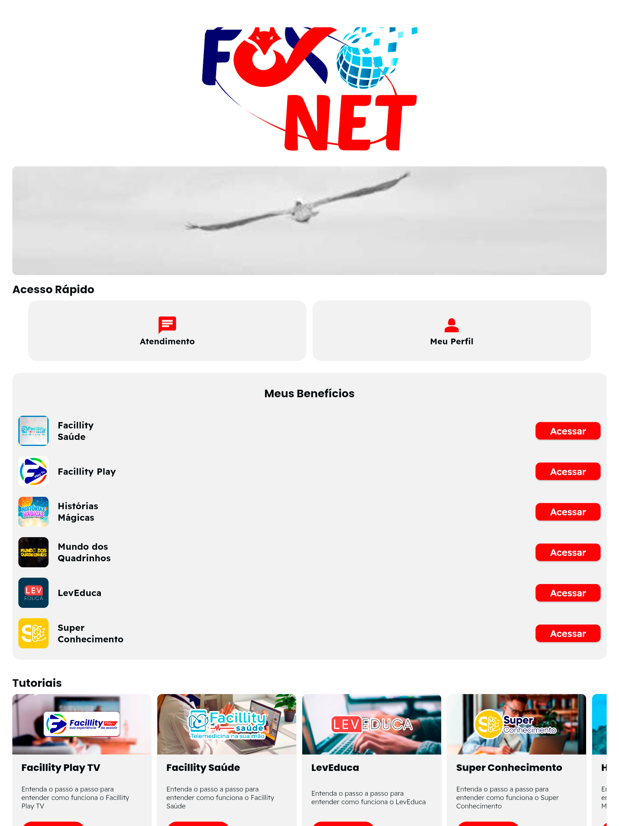 FoxNet Benefícios
