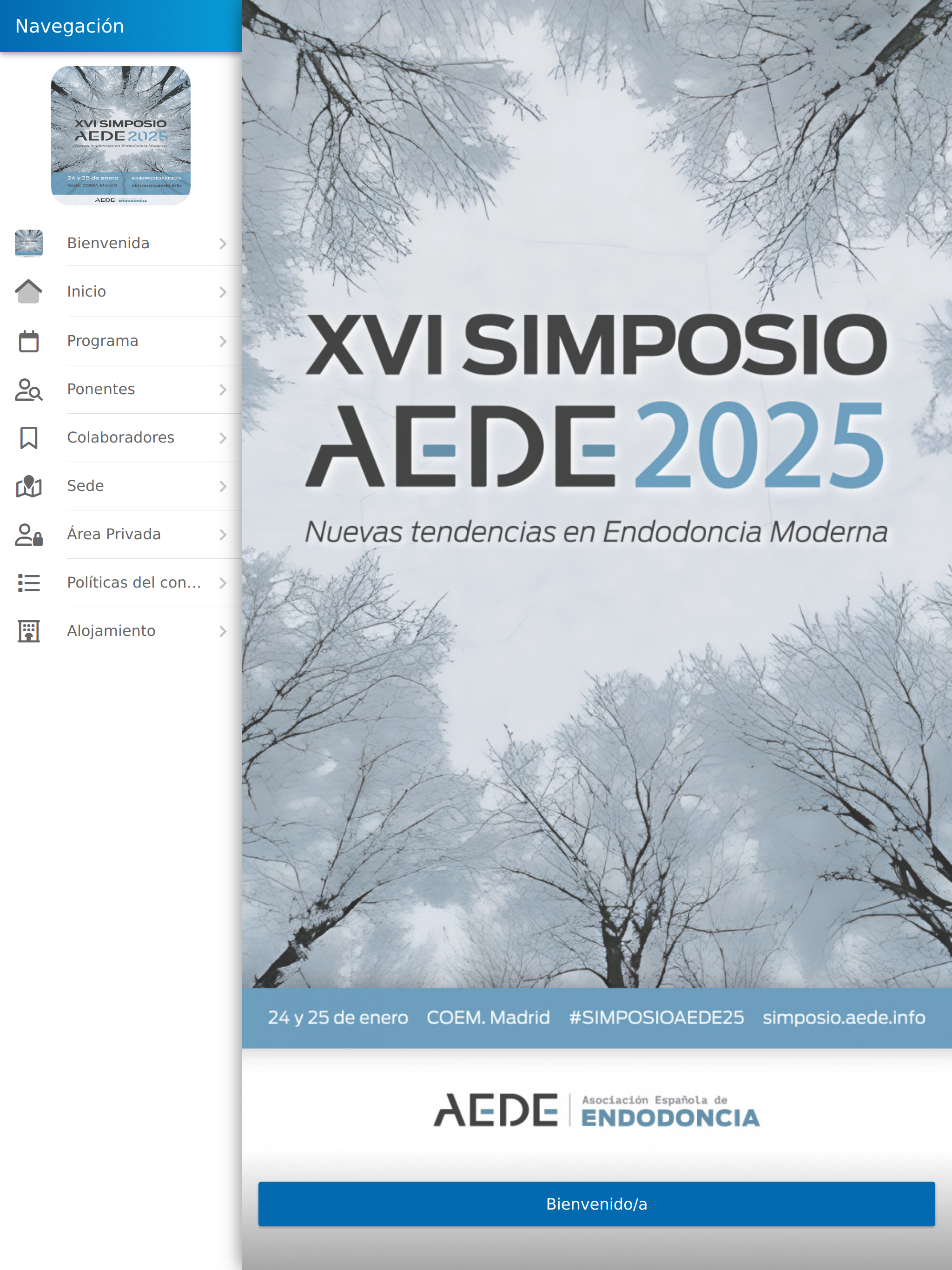 XVI Simposio AEDE 2025 screenshot 6