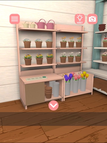 Escape Game: Tiny Flower Shop iPad screenshot
