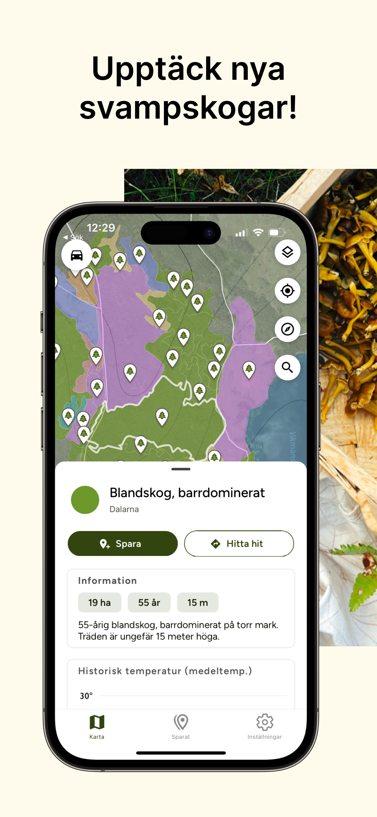 Hitta Skog: Svamp och Bär