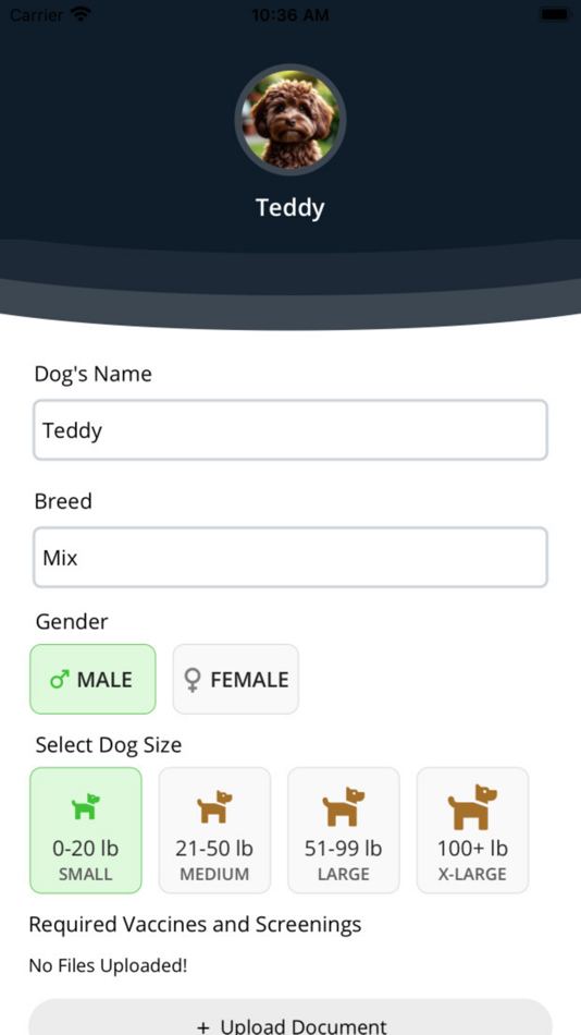 #6. Doggie Bus (iOS) 由: Troy Bergeron