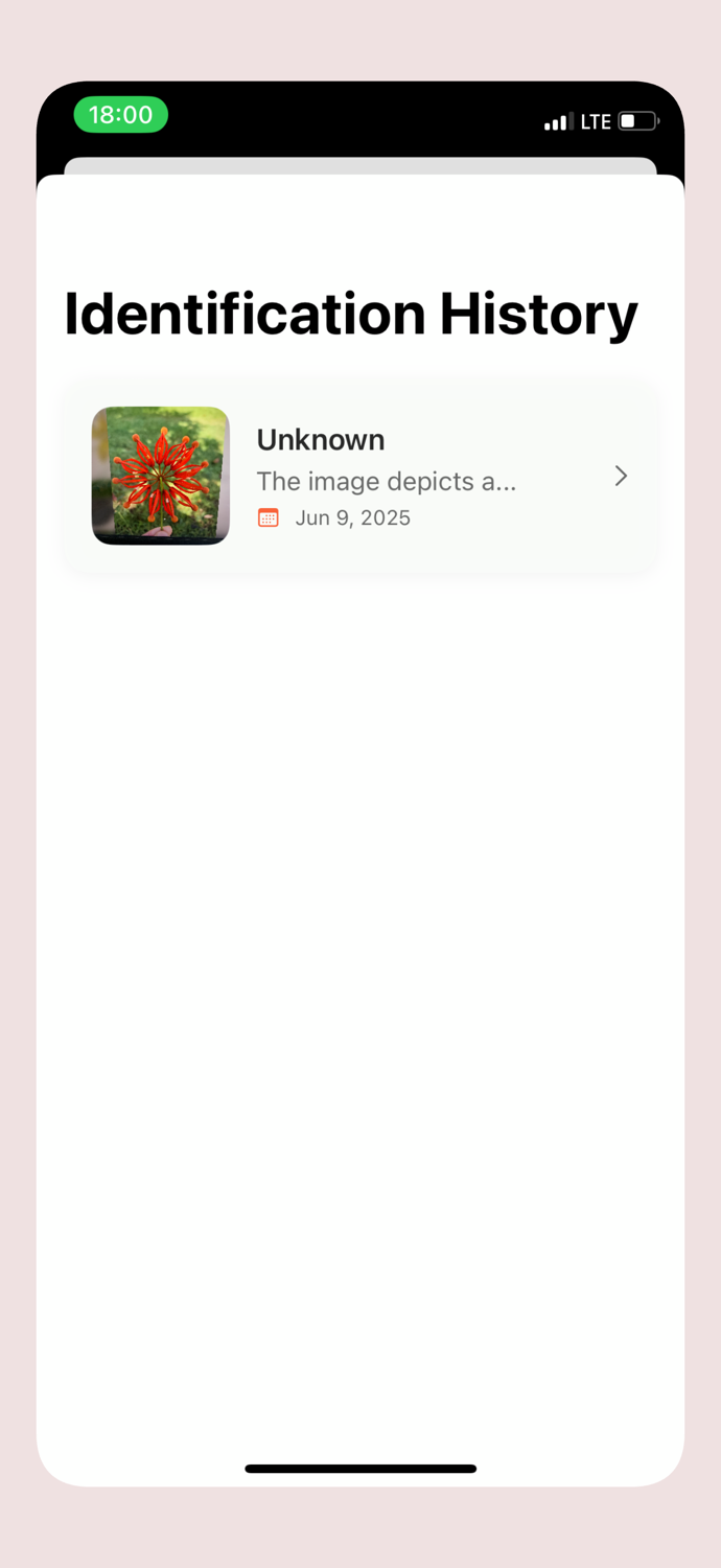 brand・Image Search・AI Lens