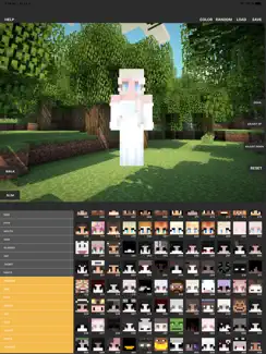 Custom Skin Creator iPad image 4