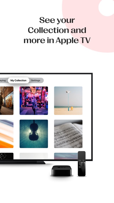 Vinyls: Manage your collection Screenshot