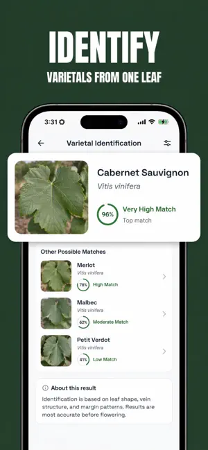 VineGuard: Vineyard Diagnosis screenshot 4