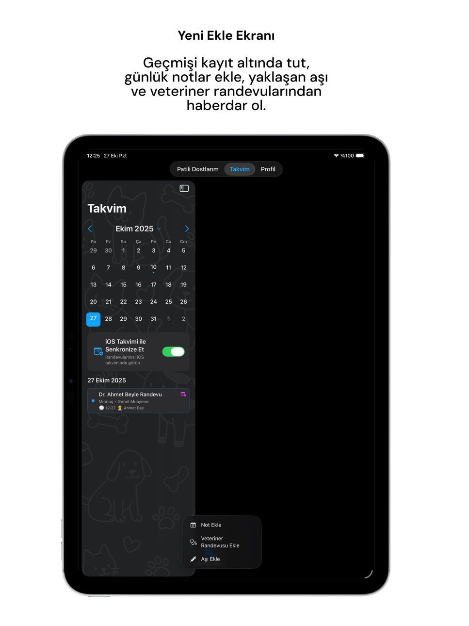 iPad screenshot