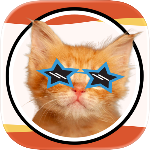 The Pawsome App