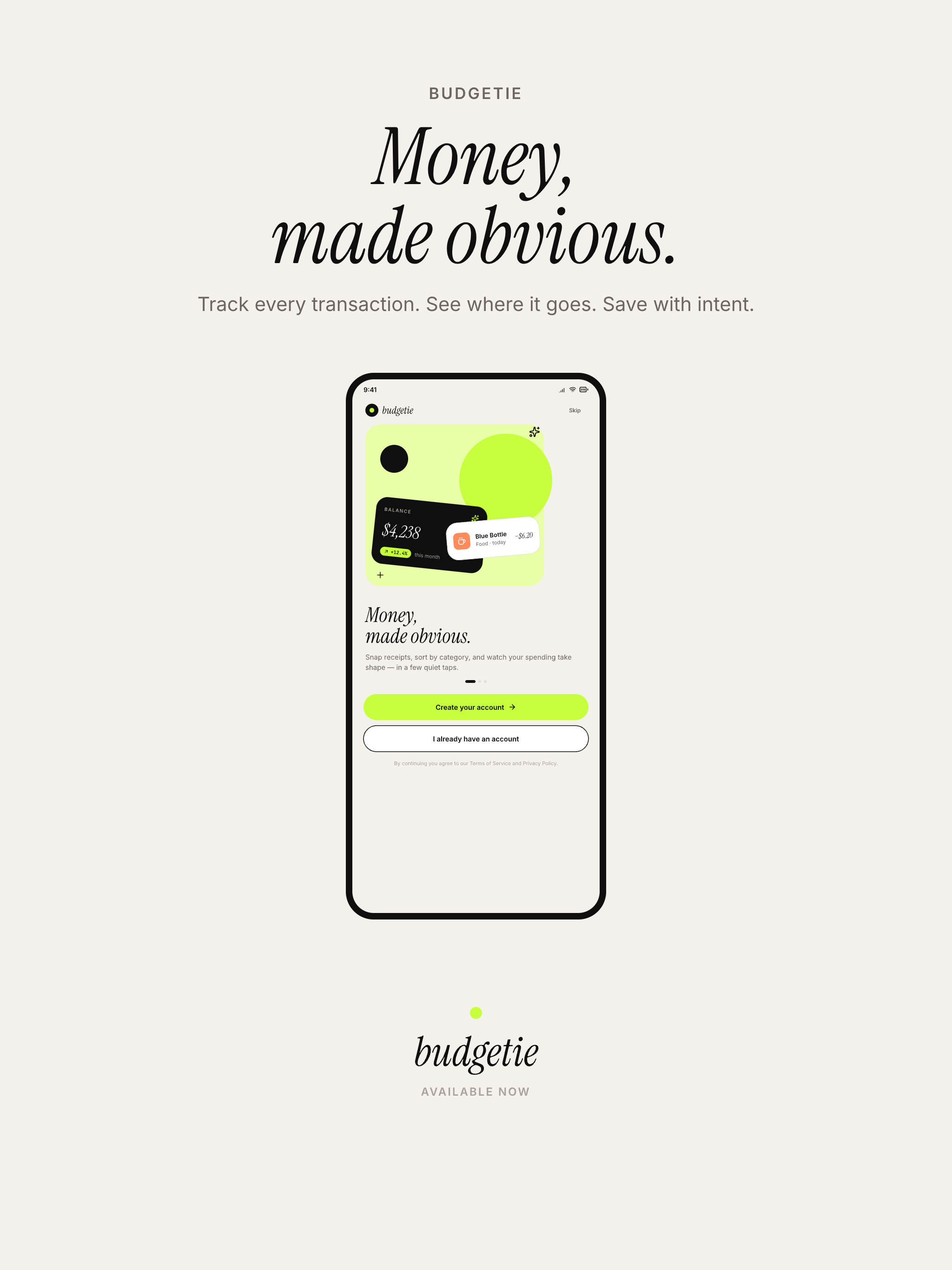 Budgetie screenshot 11