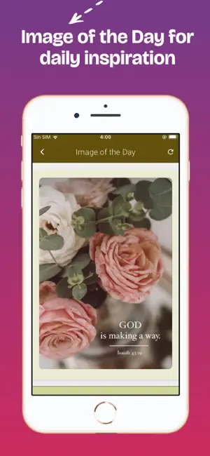 NLT Bible Offline in English iPhone screenshot 5